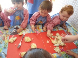 Experimentem amb la patates